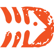 logo of DirtFish Gear | Performance Driving Apparel & Accessories