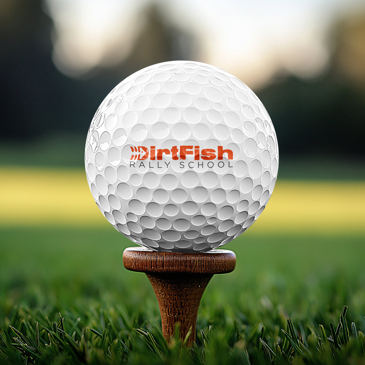 Taylormade x DirtFish Distance+ Golf Ball (single)